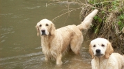 picture-0001