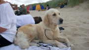 picture-0003