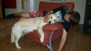 picture-0014