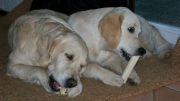 picture-0022