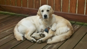 maggie005