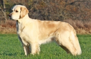 maggie010