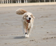 maggie013