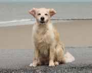 maggie014
