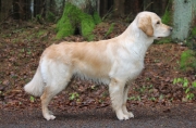 skrollan (11)