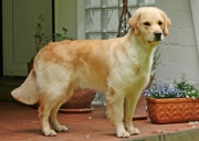 skrollan (13)